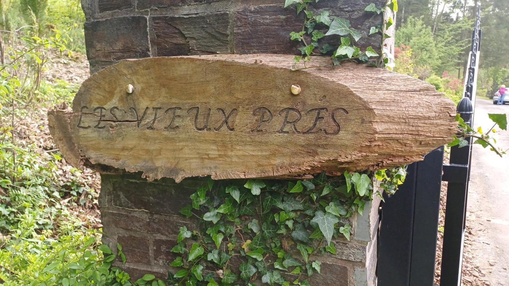 Villa Le Vieux Pres Bertrix Esterno foto