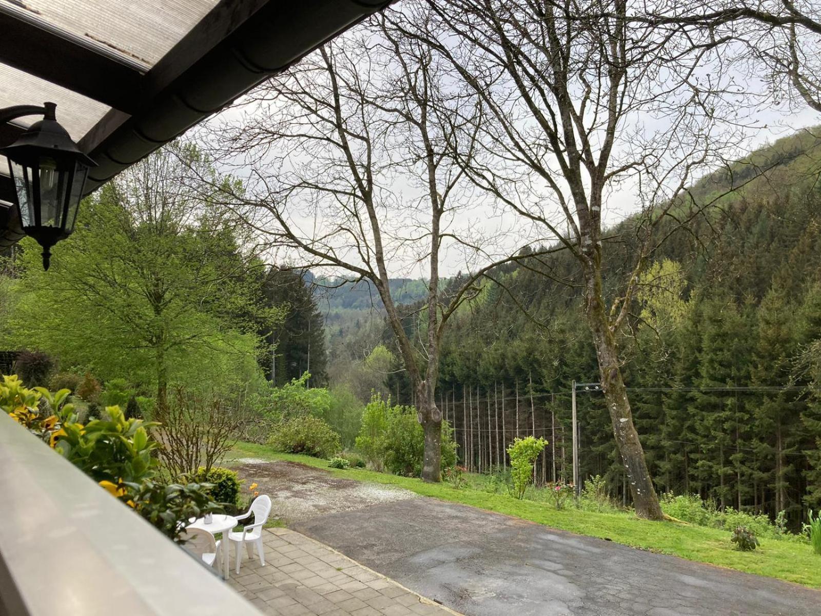 Villa Le Vieux Pres Bertrix Esterno foto